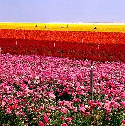 腾讯游戏：寒假未成年仅15小时游戏时间